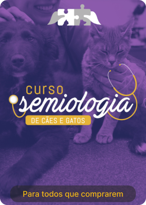 semiologia